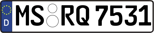 MS-RQ7531