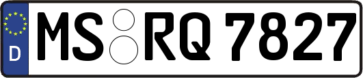 MS-RQ7827