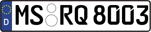 MS-RQ8003