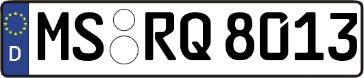 MS-RQ8013