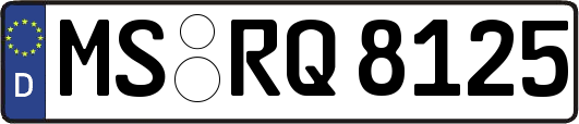 MS-RQ8125