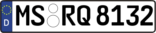 MS-RQ8132
