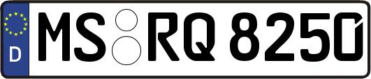 MS-RQ8250