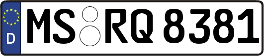 MS-RQ8381