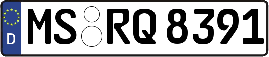 MS-RQ8391