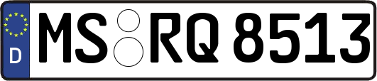 MS-RQ8513