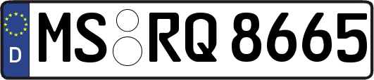 MS-RQ8665