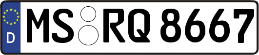 MS-RQ8667