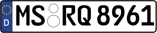 MS-RQ8961