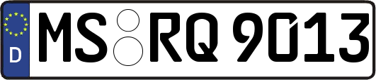 MS-RQ9013