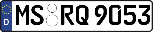 MS-RQ9053