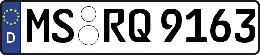 MS-RQ9163