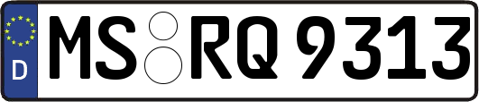 MS-RQ9313