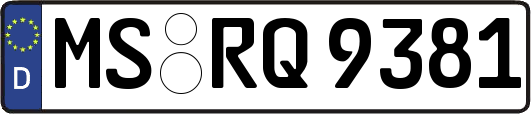 MS-RQ9381