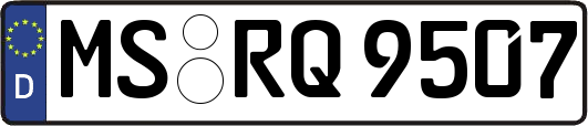 MS-RQ9507