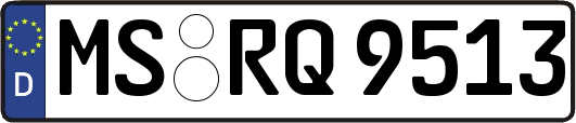 MS-RQ9513