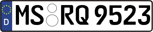 MS-RQ9523