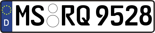 MS-RQ9528