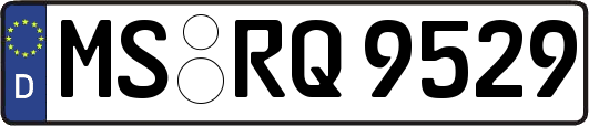 MS-RQ9529
