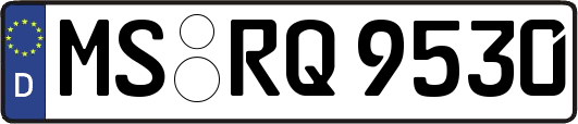 MS-RQ9530