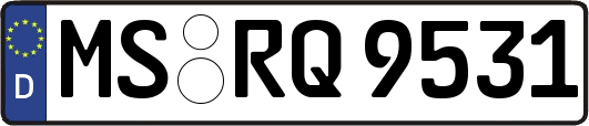 MS-RQ9531