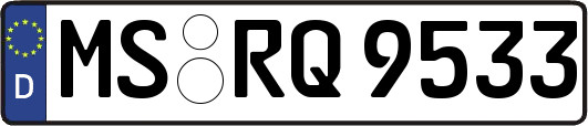 MS-RQ9533