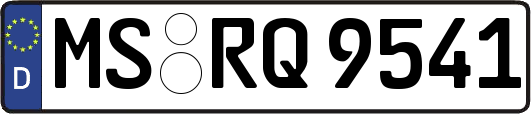 MS-RQ9541