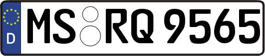 MS-RQ9565