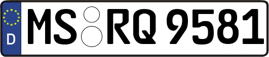 MS-RQ9581