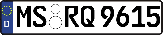 MS-RQ9615