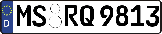 MS-RQ9813