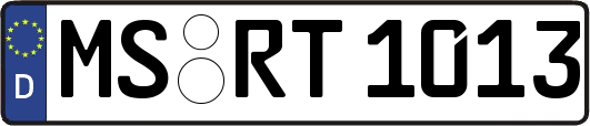 MS-RT1013