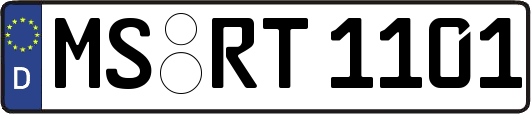 MS-RT1101