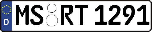 MS-RT1291