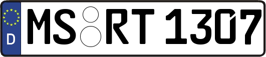 MS-RT1307
