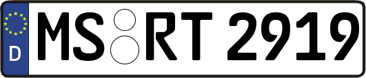 MS-RT2919
