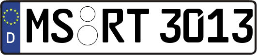 MS-RT3013