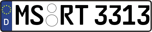 MS-RT3313