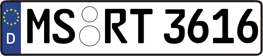 MS-RT3616