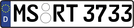 MS-RT3733