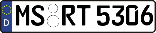 MS-RT5306