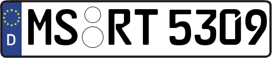 MS-RT5309