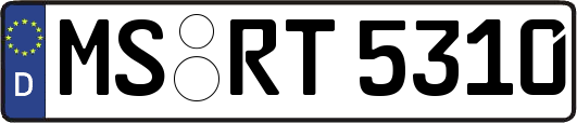MS-RT5310