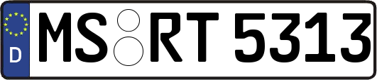 MS-RT5313