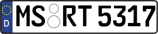 MS-RT5317