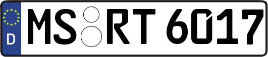 MS-RT6017