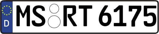 MS-RT6175