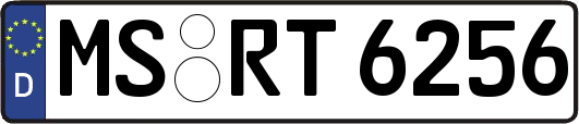 MS-RT6256