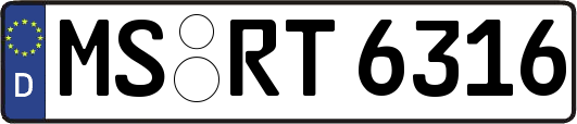 MS-RT6316