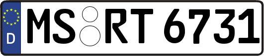MS-RT6731